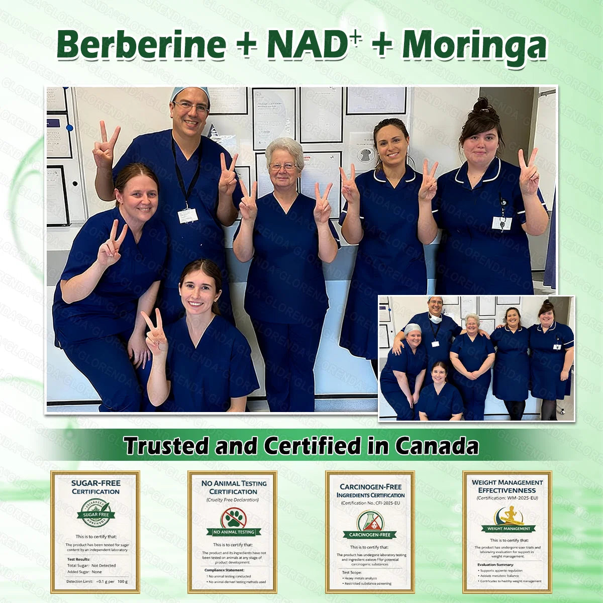 𝑶𝒇𝒇𝒊𝒄𝒊𝒂𝒍 𝑺𝒕𝒐𝒓𝒆 | GLORENDA® Moringa · Berberine × NAD+ 10-in-1 Advanced Nano Microneedle Patch
