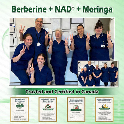 𝑶𝒇𝒇𝒊𝒄𝒊𝒂𝒍 𝑺𝒕𝒐𝒓𝒆 | GLORENDA® Moringa · Berberine × NAD+ 10-in-1 Advanced Nano Microneedle Patch