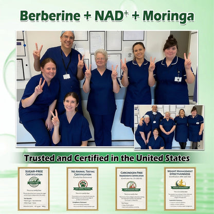 🔥🔥𝑶𝒇𝒇𝒊𝒄𝒊𝒂𝒍 𝑺𝒕𝒐𝒓𝒆 | Healrize®💃💃 Moringa · Berberine × NAD+ 10-in-1 Advanced Nano Microneedle Patch