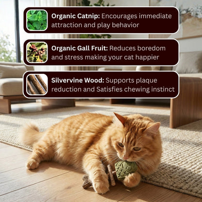 🔥Day Sale 50% OFF🐾-SVOZK® Catnip & Silvervine Chew