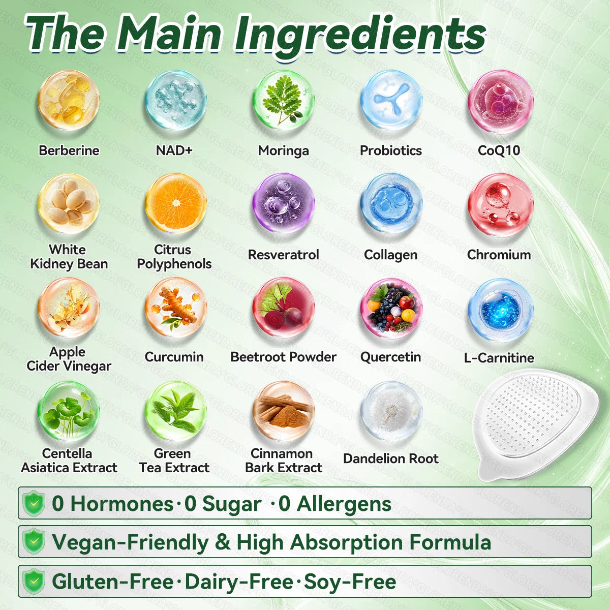 𝑶𝒇𝒇𝒊𝒄𝒊𝒂𝒍 𝑺𝒕𝒐𝒓𝒆 | GLORENDA® Moringa · Berberine × NAD+ 10-in-1 Advanced Nano Microneedle Patch