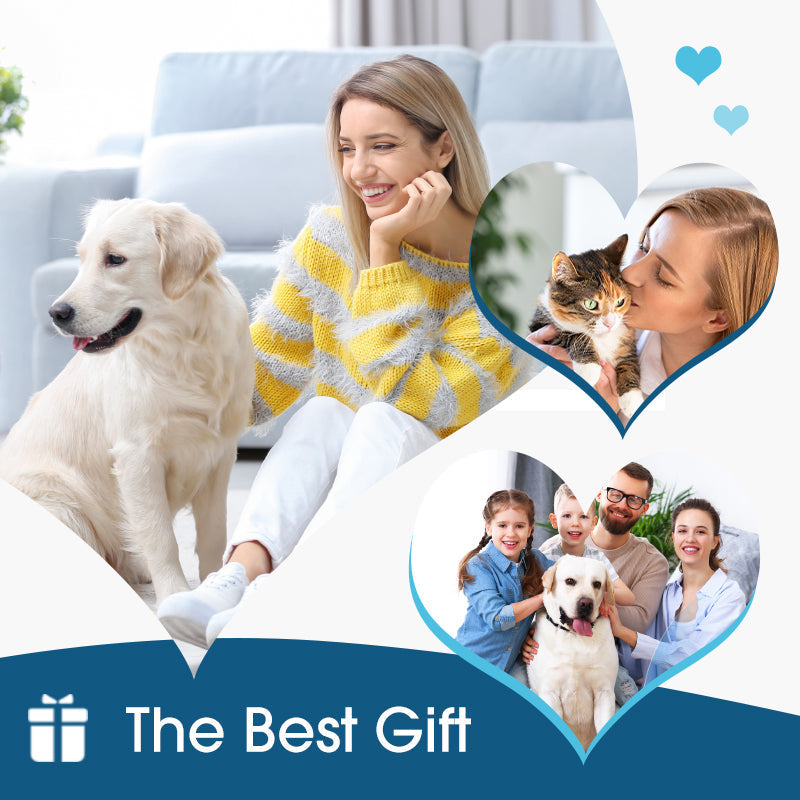🔥Buy two get one free for a limited time!🔥 🐱Hudros®  Ear cleaner to relieve ear itching in dogs and cats🐶